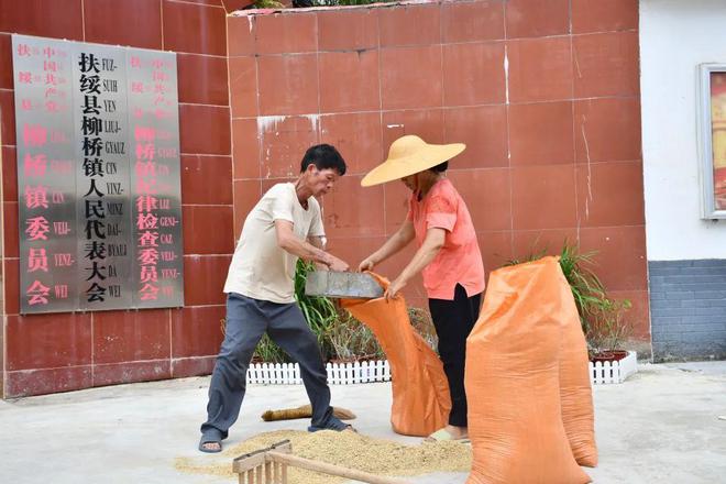 这个县城创造罚款收入下降“奇迹”开元ky棋牌政府大楼旁可以摆摊(图5)