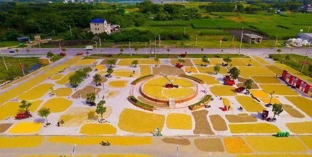 这个县城创造罚款收入下降“奇迹”开元ky棋牌政府大楼旁可以摆摊(图9)
