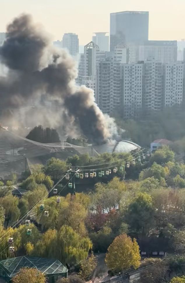 起火无伤亡施工用火不慎引燃屋顶开元棋牌试玩郑州动物园鸟语林